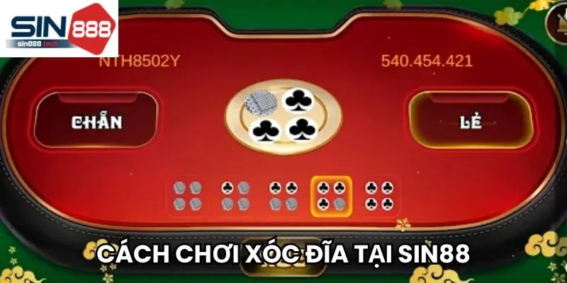 Các tân binh đã biết cách chơi tại Sin88 chưa?